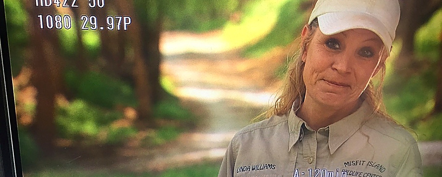 Monitor playback of a wildlife center staff member, exterior interview